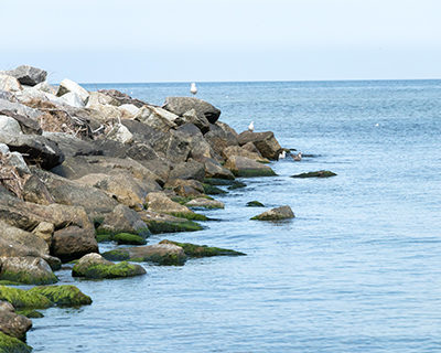 IMG_3968_m_m