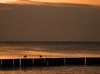 IMG_4166_m_m