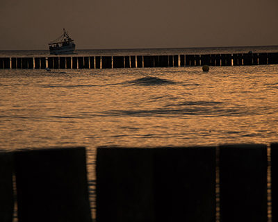 IMG_4226_m_m