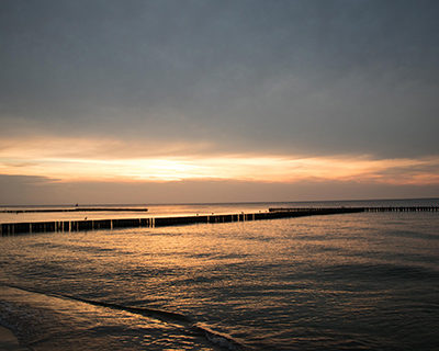 IMG_4231_m_m