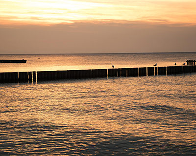 IMG_4239_m_m